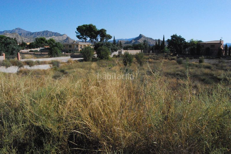Foto ac5da53a-f151-4d2f-ac52-85031986ebae. Terreny residencial a Agost