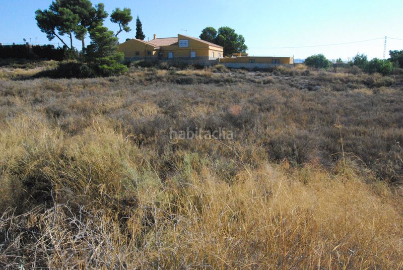 Foto bcde7b1b-8e24-4d2b-b5f0-a7a23dc3b839. Terreny residencial a Agost