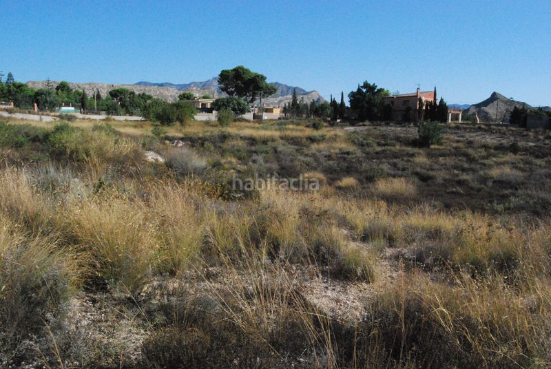 Foto d5cfb207-486f-4667-b2b4-e07621770fb2. Terreny residencial a Agost