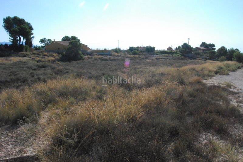 Foto e3692e56-49f3-4683-a86d-7a884b90ee7a. Terreny residencial a Agost