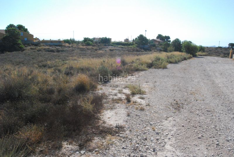 Foto f5653ffe-e022-42d4-be8a-663ddcbb398e. Terreny residencial a Agost