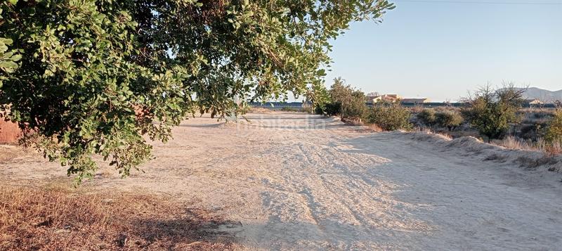 Foto f48b1ebc-1fe8-4f1c-86a0-4548e88bed5a. Finca rústica oportunidad terreno rustico¡¡¡¡¡ en Alicante