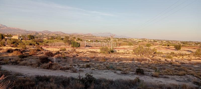Foto fa2b8142-176d-420c-8d35-89f63cb15060. Finca rústica oportunidad terreno rustico¡¡¡¡¡ en Alicante