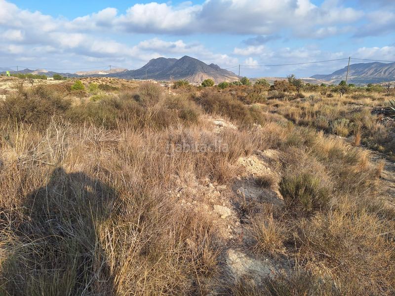 Foto 0aecdff0-5d06-4749-a6d3-a5db30fd5175. Fondo rustico in La Alcoraya Alicante