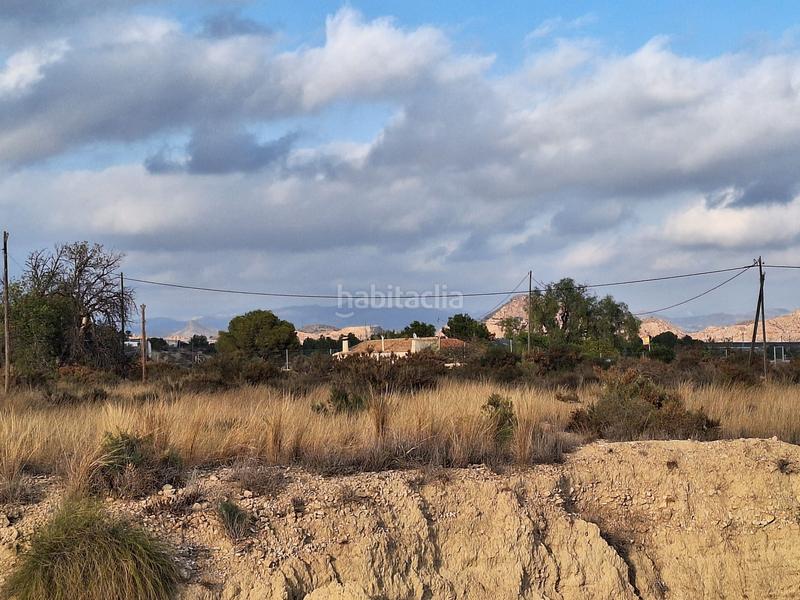 Foto 13be1d47-0eb3-428a-b420-30b02e9ebe73. Fondo rustico in La Alcoraya Alicante