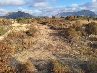 Landgut in La Alcoraya. Oportunidad parcela rustica agua de riego¡¡¡¡¡¡