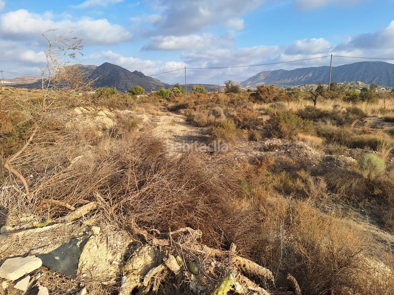 Foto 3a01a3a2-4b1e-49c9-a632-454378b26c62. Fondo rustico in La Alcoraya Alicante