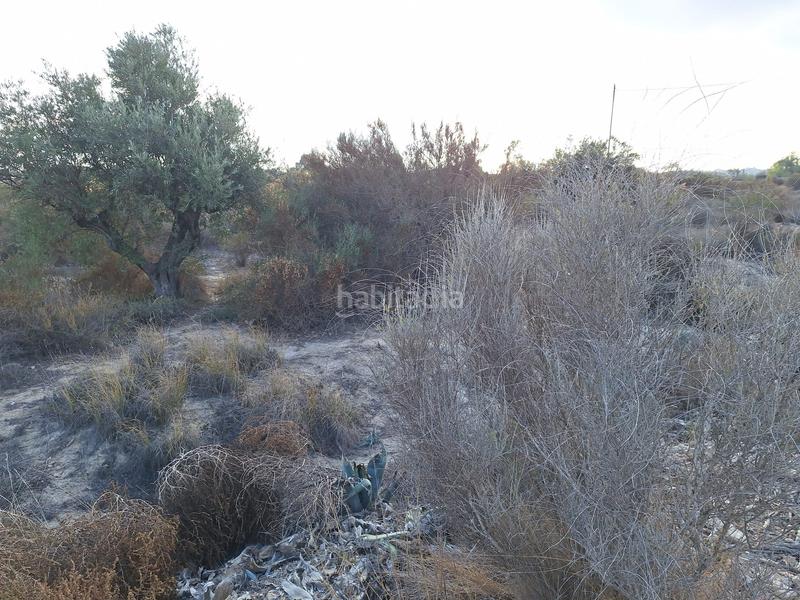 Foto 3b083083-2fda-4616-881f-f97ef0ca97a3. Fondo rustico in La Alcoraya Alicante