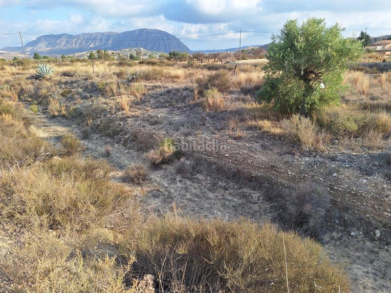 Foto 3b3e0829-2b9e-4743-bd3a-b3359b00d151. Fondo rustico in La Alcoraya Alicante