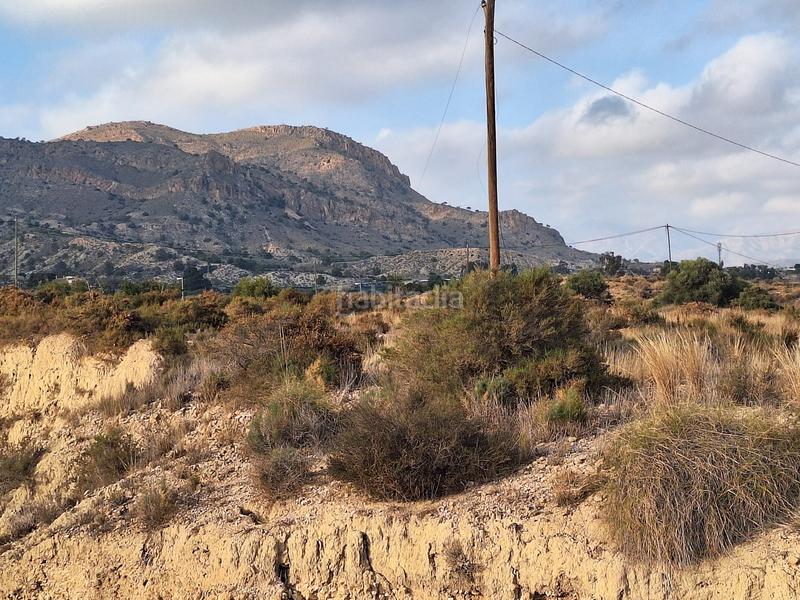 Foto 4b3c979d-835b-4c94-ad24-88f28730b986. Fondo rustico in La Alcoraya Alicante