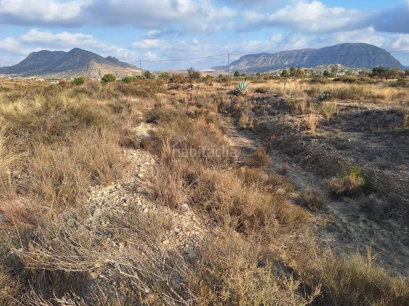 Foto 6391a3c1-dc8c-4f62-bdcc-c5ce63dcb22f. Fondo rustico in La Alcoraya Alicante