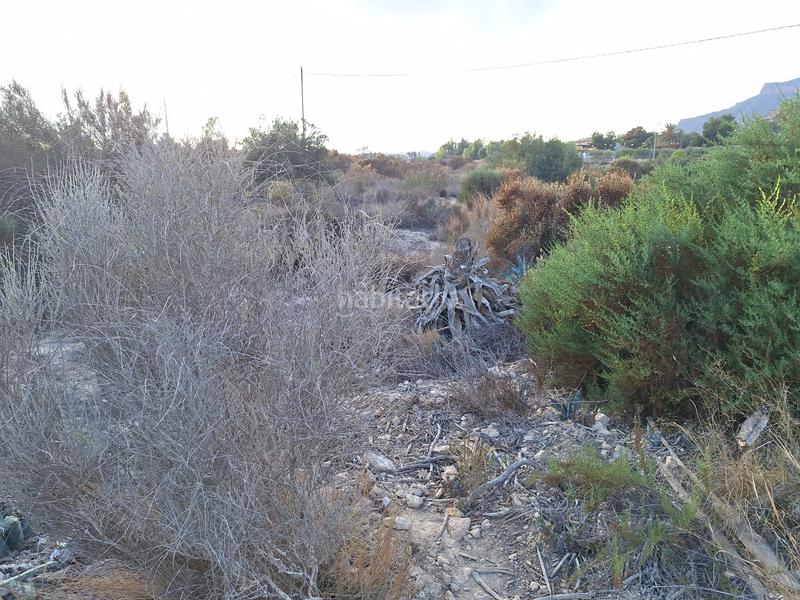 Foto 828d2e32-9bda-4fe6-9ed3-c7271b8c6fde. Fondo rustico in La Alcoraya Alicante