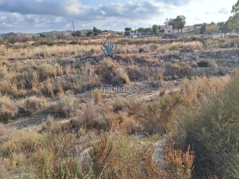 Foto 83a539af-c0d9-4ae4-80b2-bb907c75d169. Fondo rustico in La Alcoraya Alicante