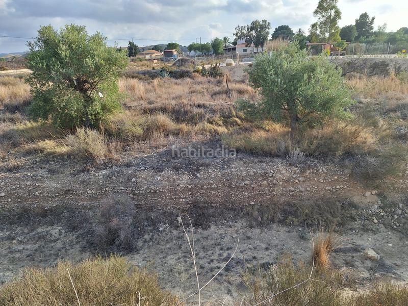 Foto c789fdf9-6f37-4698-bf4c-872536933bdf. Fondo rustico in La Alcoraya Alicante