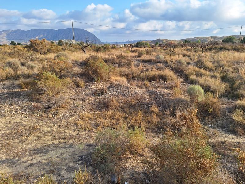 Foto cf6cc54f-0b2c-4706-a3cf-54456f0b8596. Fondo rustico in La Alcoraya Alicante