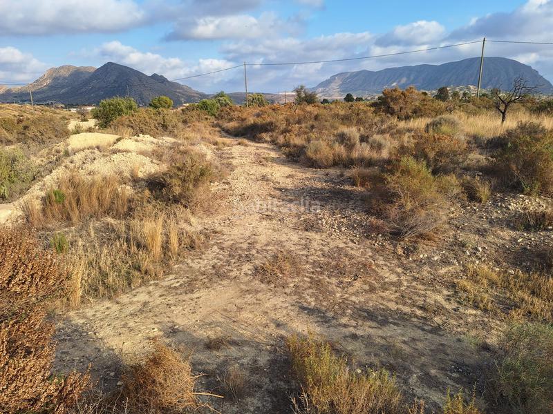 Foto fccbd777-cca1-41ec-aeda-0b898c621cf9. Fondo rustico in La Alcoraya Alicante