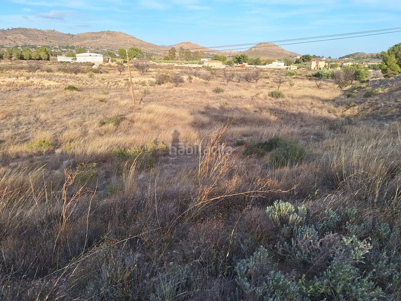Foto 242b51c7-e282-44af-acd7-3c70ad71f13f. Finca rústica a Moralet Alicante