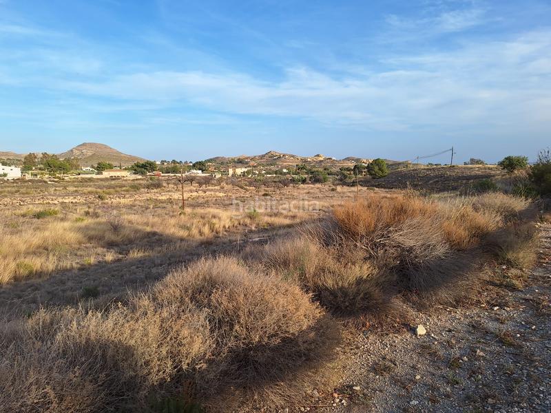 Foto 27d89c23-286c-411a-b98f-9f3223bec895. Finca rústica a Moralet Alicante