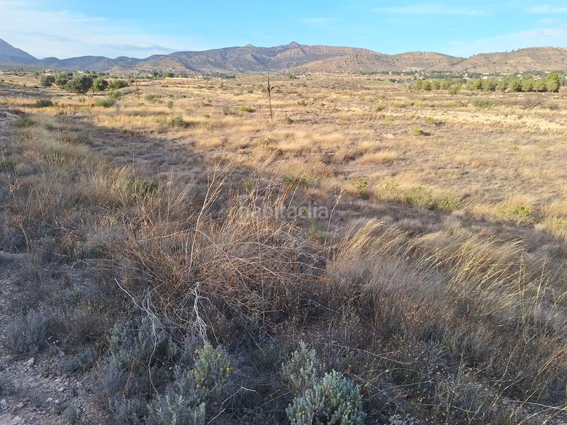 Foto 5a0707fd-b9c4-42a3-90af-555b1ffc25f9. Finca rústica a Moralet Alicante