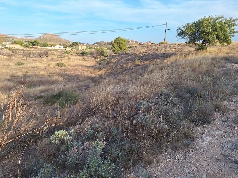 Foto 719ed2b4-e362-4433-9aab-65cd61e64fff. Finca rústica a Moralet Alicante