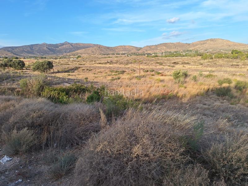 Foto 7fc4e7bc-3c73-4fd2-bddf-06019060fd0d. Finca rústica a Moralet Alicante