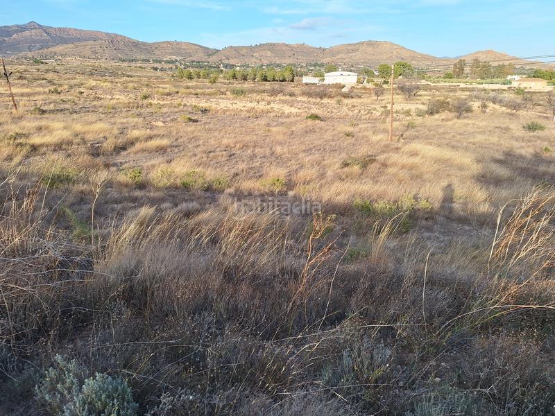 Foto abc30f49-0de3-4283-8ec3-480e1dbd2d70. Finca rústica a Moralet Alicante