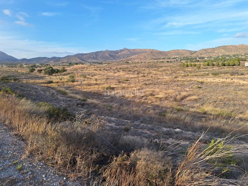 Foto c97fe013-897f-4c3f-a661-c0d91dd79bb5. Finca rústica a Moralet Alicante