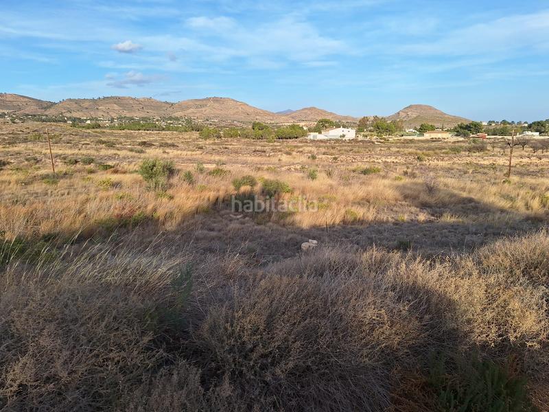 Foto e3778acb-b581-4cf7-8546-150bdd26a9bb. Finca rústica a Moralet Alicante