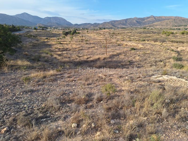 Foto fc14f6de-2779-4559-9862-a7eacb3f65ab. Finca rústica a Moralet Alicante