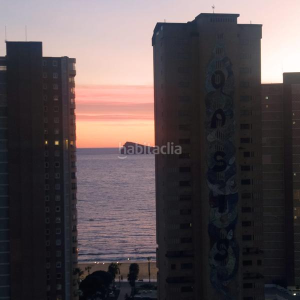 Foto 5b941adb-031f-469b-8c12-829e429f31fa. Lloguer apartament amb aparcament piscina a Playa Levante Benidorm