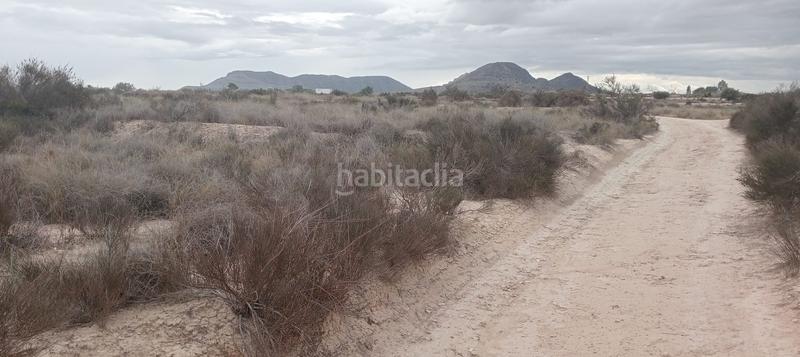 Foto 062ee035-7c35-42c1-8dbb-afeb7839d37d. Fondo rustico in carretera de agost 35b in Moralet Alicante