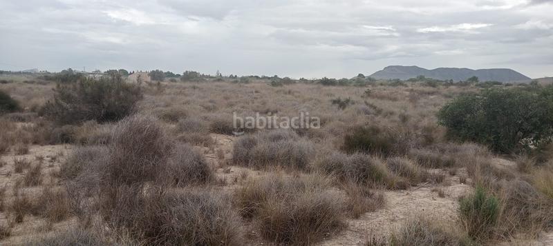 Foto 09aa5b81-e9f1-451a-a3e2-078d1f585c18. Fondo rustico in carretera de agost 35b in Moralet Alicante