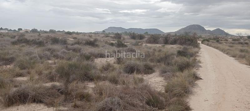 Foto 3d88fa96-a6e0-4370-a985-ab7f9fb66247. Fondo rustico in carretera de agost 35b in Moralet Alicante