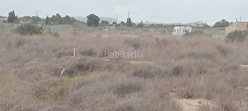 Foto c80f5c7e-4539-4d16-b7a0-9eacc8d34217. Fondo rustico in Moralet Alicante