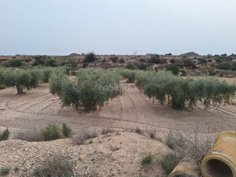 Foto 4bb87a5a-38e9-4cc6-8083-595067084aeb. Finca rústica oportunidad parcela rustica edificable con agua de riego¡¡¡¡¡¡ en Agost