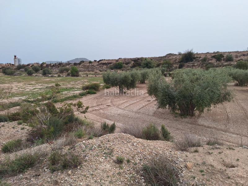 Foto 637b325a-38b6-4bf9-801d-94f533aad31f. Finca rústica oportunidad parcela rustica edificable con agua de riego¡¡¡¡¡¡ en Agost