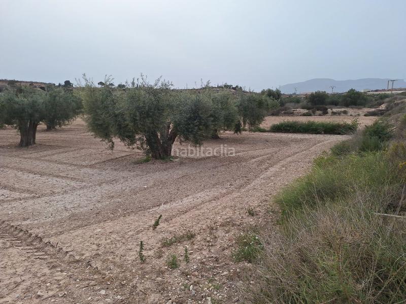 Foto 91af0bd8-331e-4b45-b94c-d03b0f6427e7. Finca rústica oportunidad parcela rustica edificable con agua de riego¡¡¡¡¡¡ en Agost