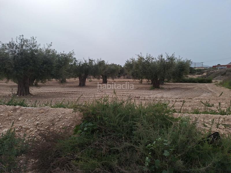 Foto a9579e7d-e36f-430a-810f-ac2be263f749. Finca rústica oportunidad parcela rustica edificable con agua de riego¡¡¡¡¡¡ en Agost