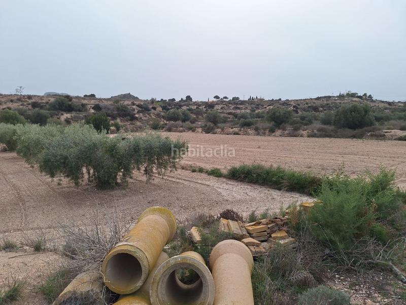 Foto ea20b2e8-bca0-489a-86cc-901e2d09899a. Finca rústica oportunidad parcela rustica edificable con agua de riego¡¡¡¡¡¡ en Agost