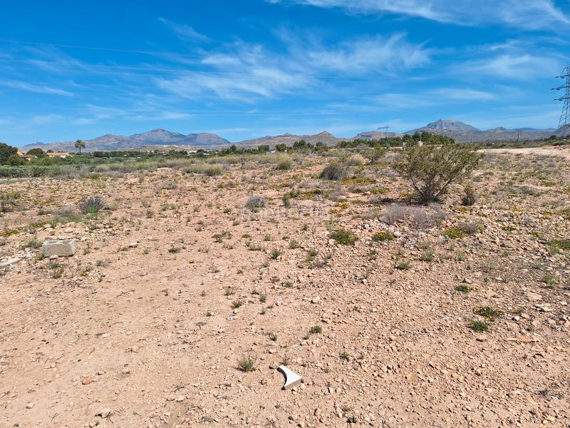Foto 4cf32002-84b6-4d94-8d72-6dec9b9df931. Finca rústica a Los Girasoles Sant Vicent del Raspeig