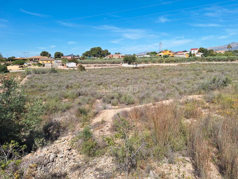 Foto 5547189e-4d51-4566-9f6c-da690a25f478. Finca rústica a Los Girasoles Sant Vicent del Raspeig