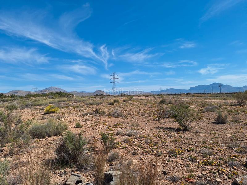 Foto 60f0e592-d3cd-4fde-ba5b-7d7dc7b7c555. Finca rústica a Los Girasoles Sant Vicent del Raspeig