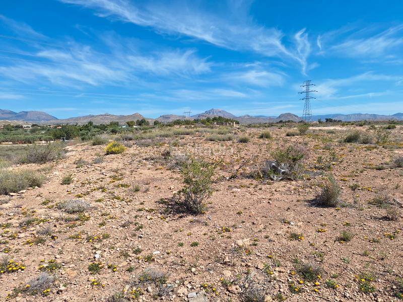 Foto 61a56d15-d23c-4a73-b328-8995f92551b8. Finca rústica a Los Girasoles Sant Vicent del Raspeig
