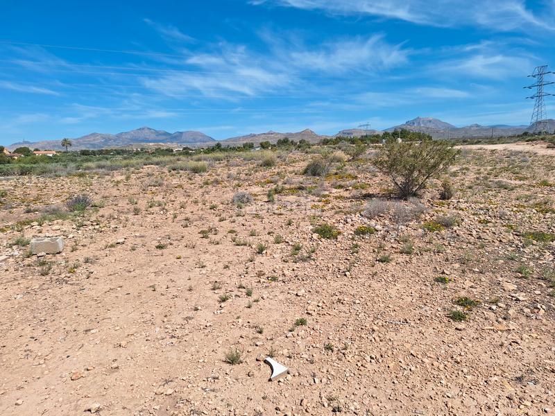 Foto 6d6765b8-2592-4c34-953a-fec038ac4ce3. Finca rústica a Los Girasoles Sant Vicent del Raspeig