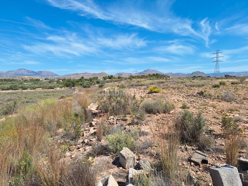 Foto 81228f30-5dc9-4ee2-aeff-cde203b21c86. Finca rústica a Los Girasoles Sant Vicent del Raspeig