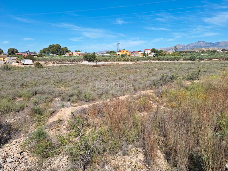 Foto 96499b6c-6bd6-4ce3-bfca-9ab91dff8e53. Finca rústica a Los Girasoles Sant Vicent del Raspeig