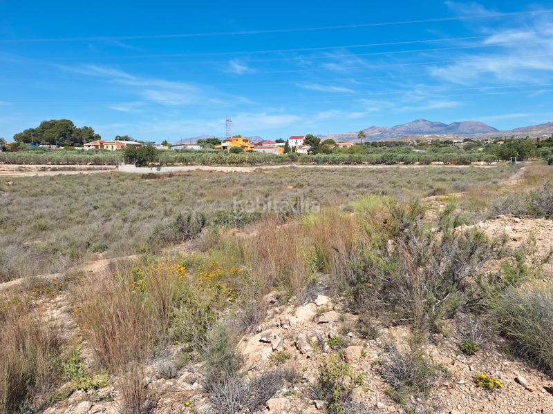 Foto 98cf025e-ace7-440d-b5ec-67a84cb7f230. Finca rústica a Los Girasoles Sant Vicent del Raspeig