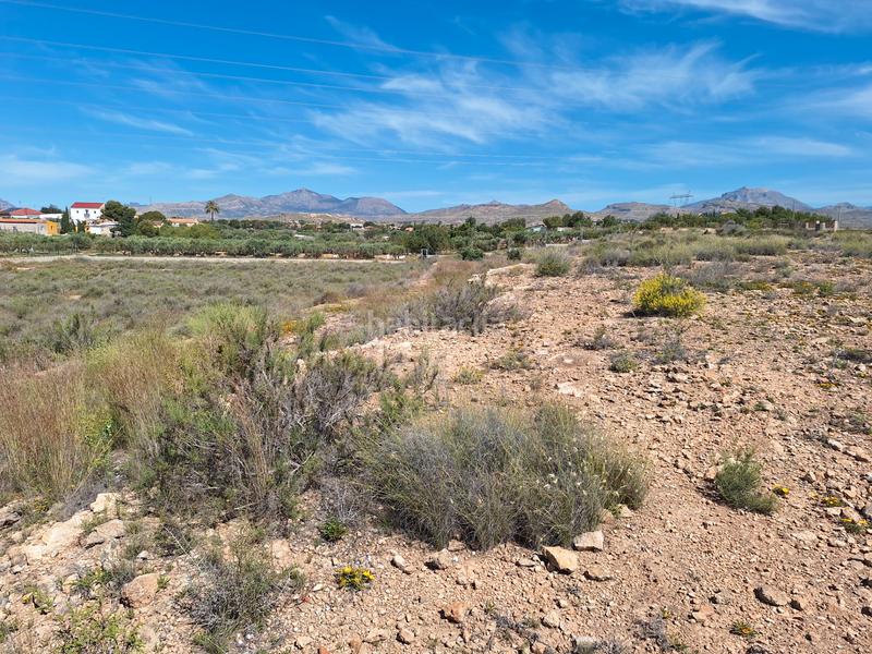 Foto 99dc4b8c-48de-42cf-a220-cf99b3269d3b. Finca rústica a Los Girasoles Sant Vicent del Raspeig