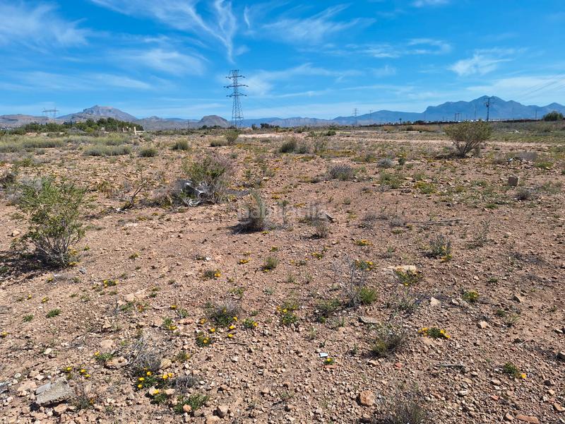 Foto d7a3a1ff-b182-40ef-8f56-cadec4cf4ebe. Finca rústica a Los Girasoles Sant Vicent del Raspeig