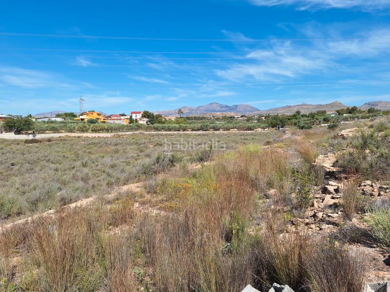 Foto fb6b7cdd-659d-4381-a5ae-241745f6255d. Finca rústica a Los Girasoles Sant Vicent del Raspeig